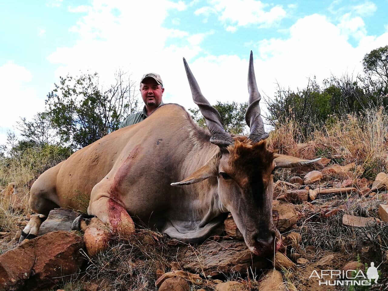 South Africa Hunting Eland