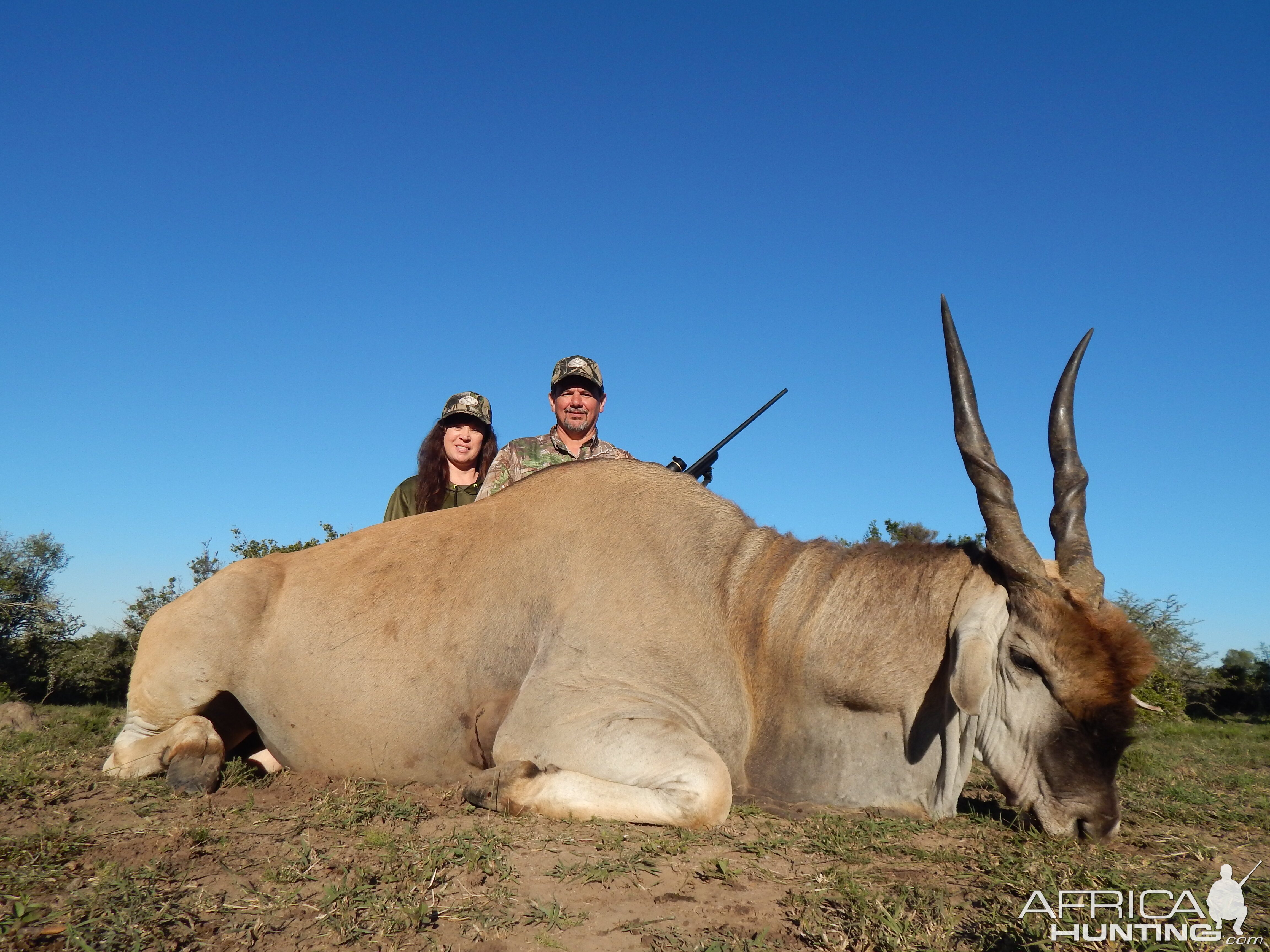 South Africa Hunting Eland