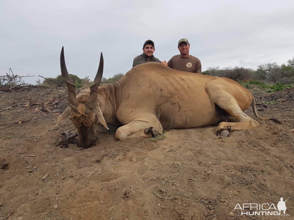 South Africa Hunting Eland