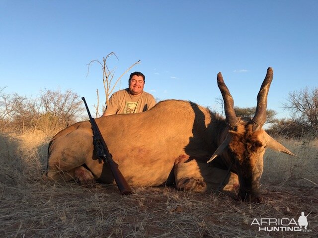 South Africa Hunting Eland