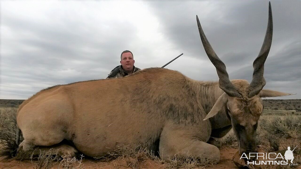 South Africa Hunting Eland