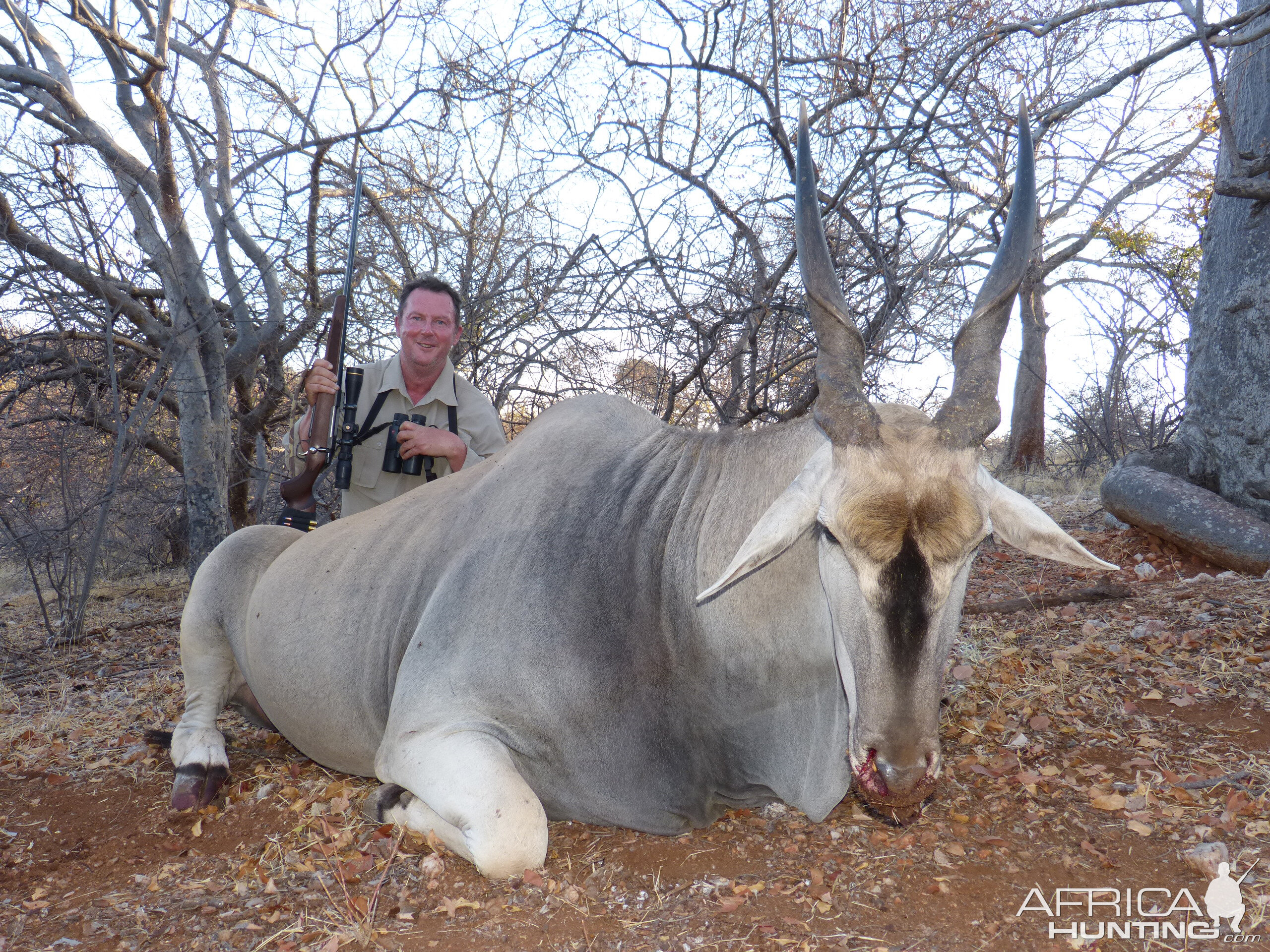 South Africa Hunting Eland