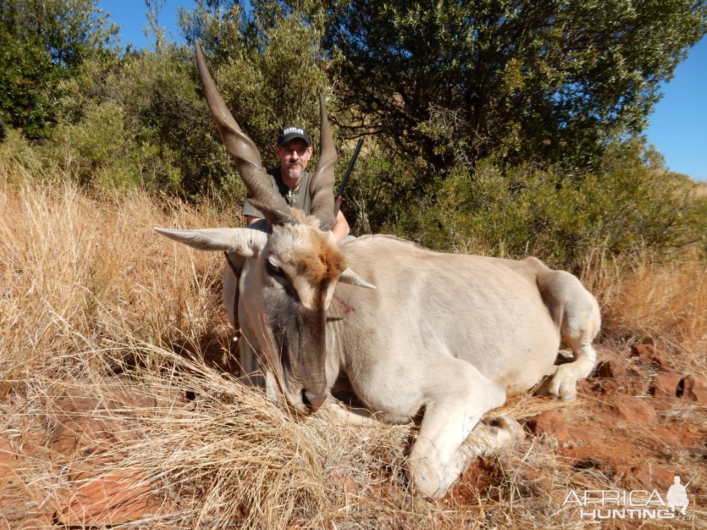 South Africa Hunting Eland