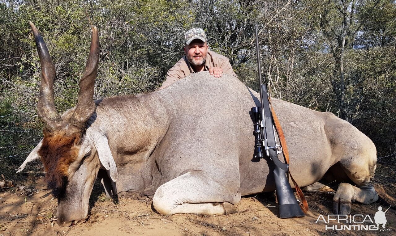 South Africa Hunting Eland