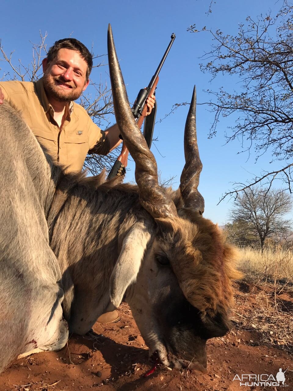 South Africa Hunting Eland