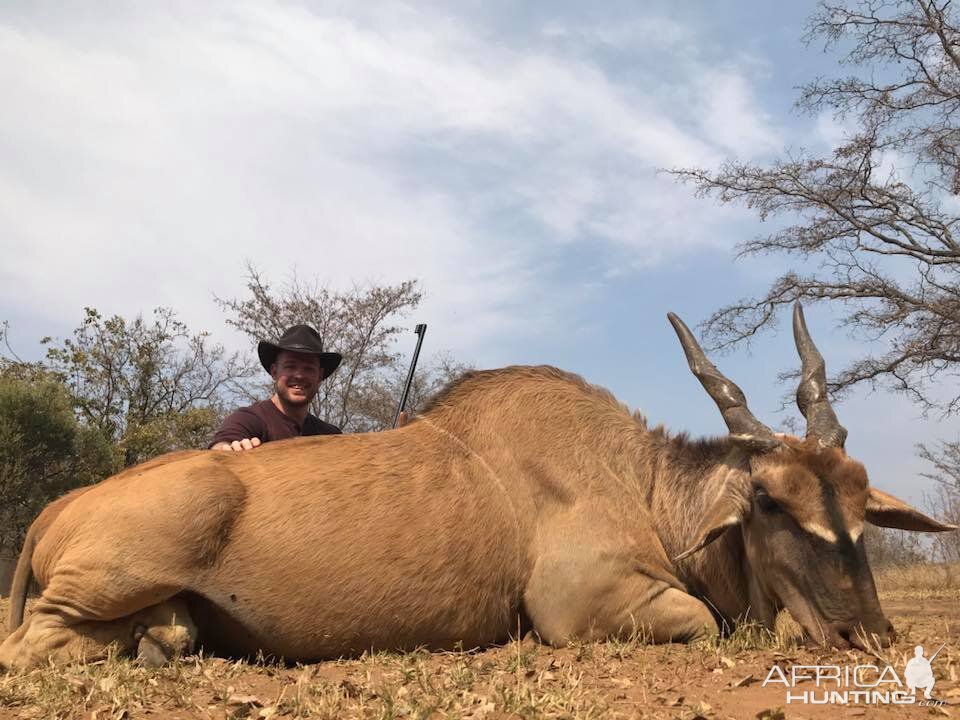 South Africa Hunting Eland