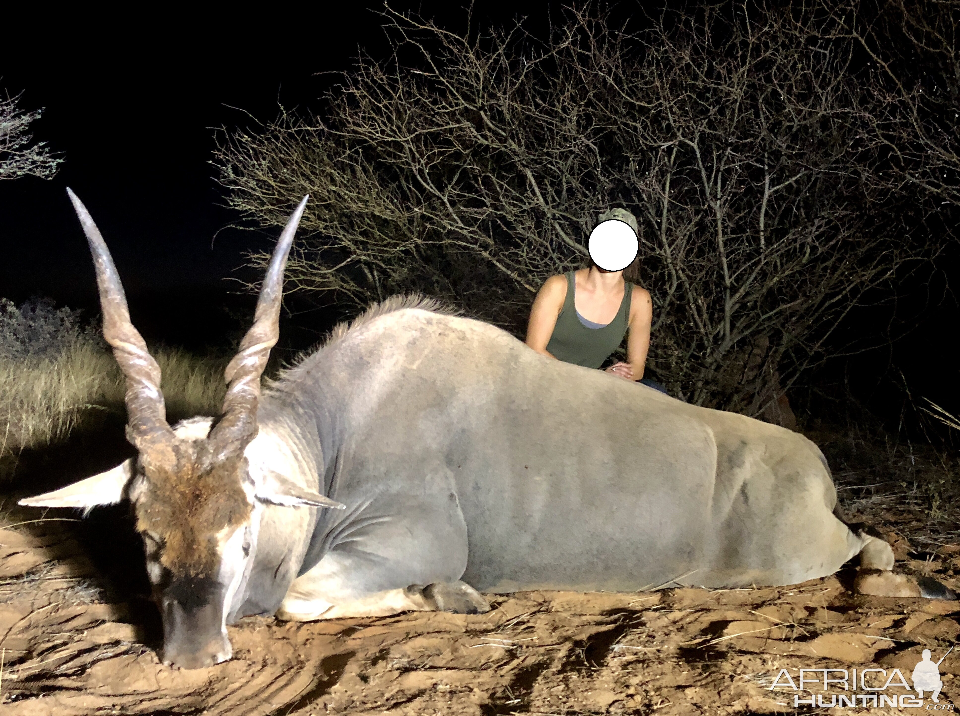 South Africa Hunting Eland