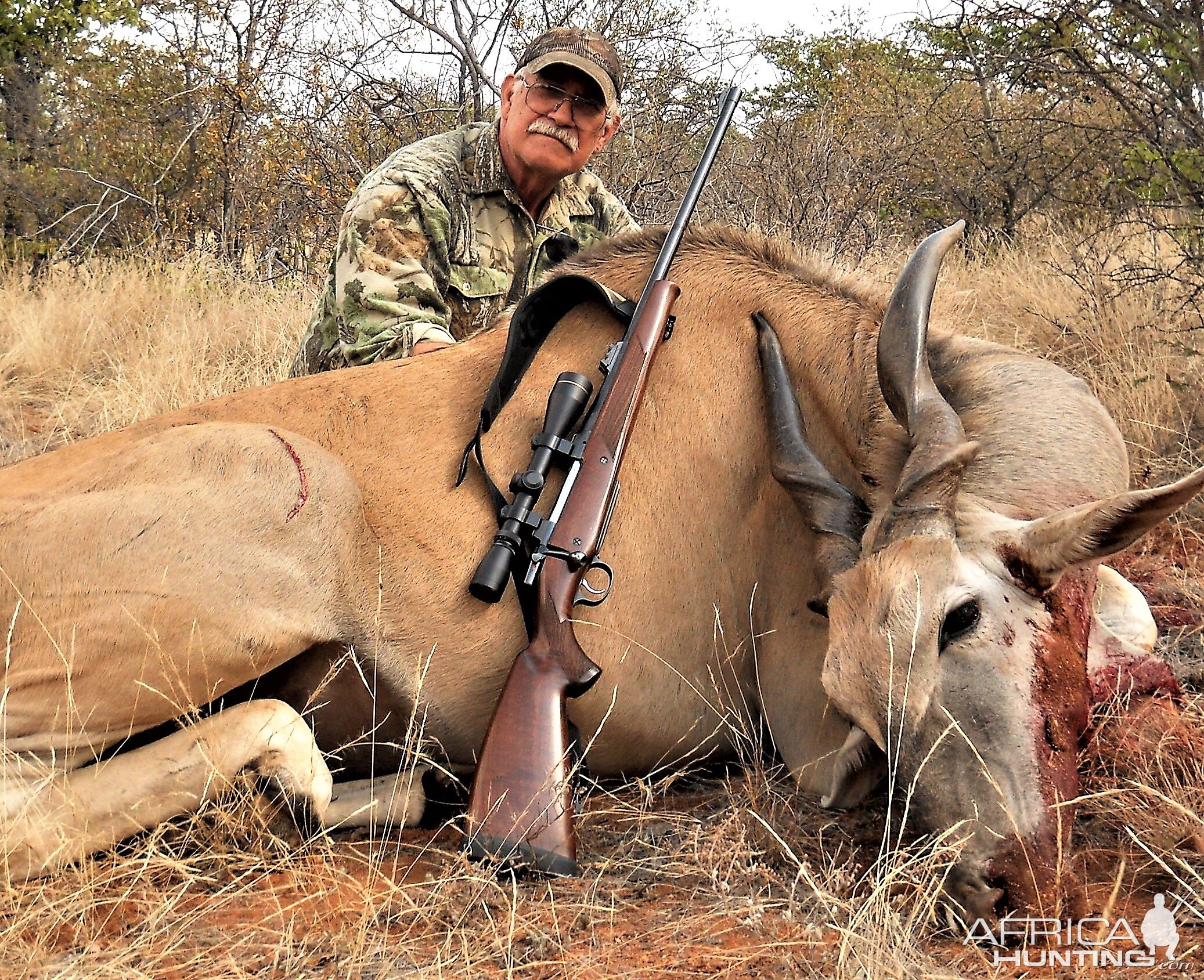 South Africa Hunting Eland