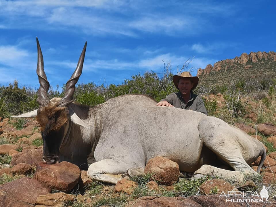 South Africa Hunting Eland