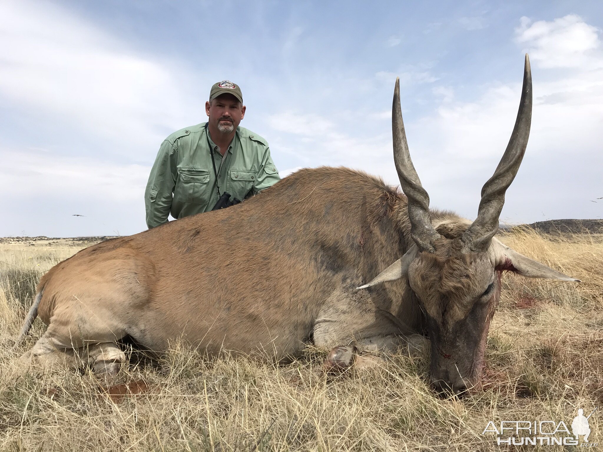 South Africa Hunting Eland