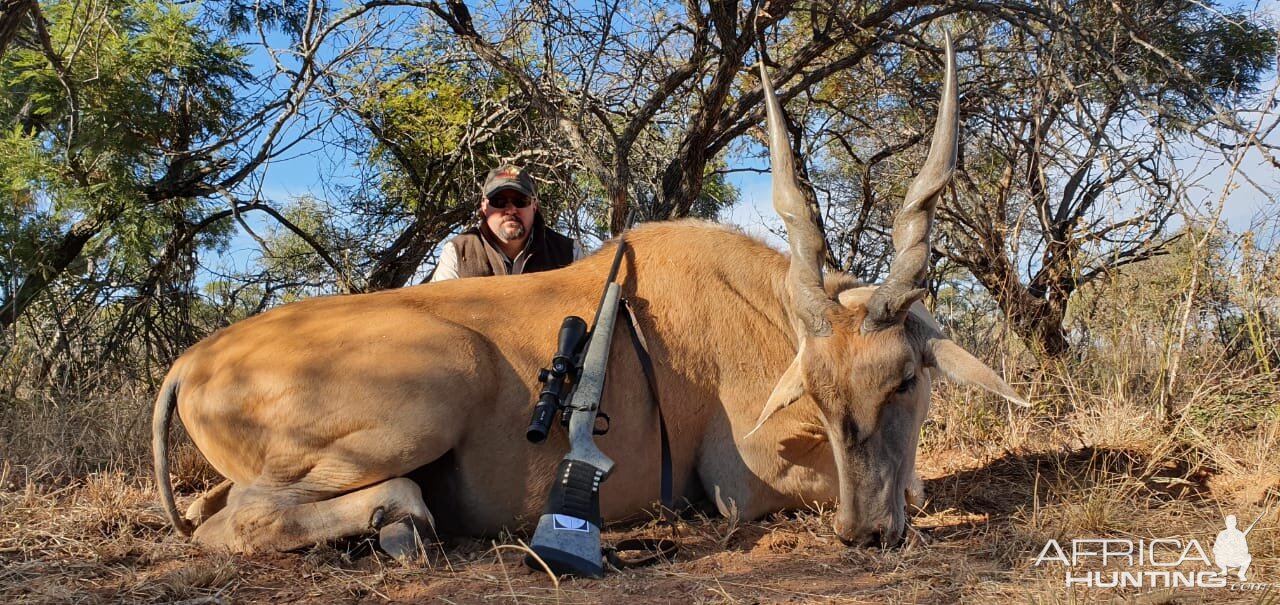 South Africa Hunting Eland