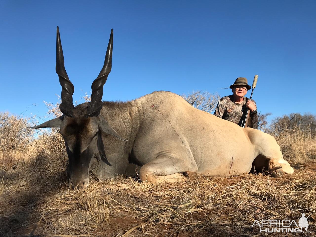 South Africa Hunting Eland