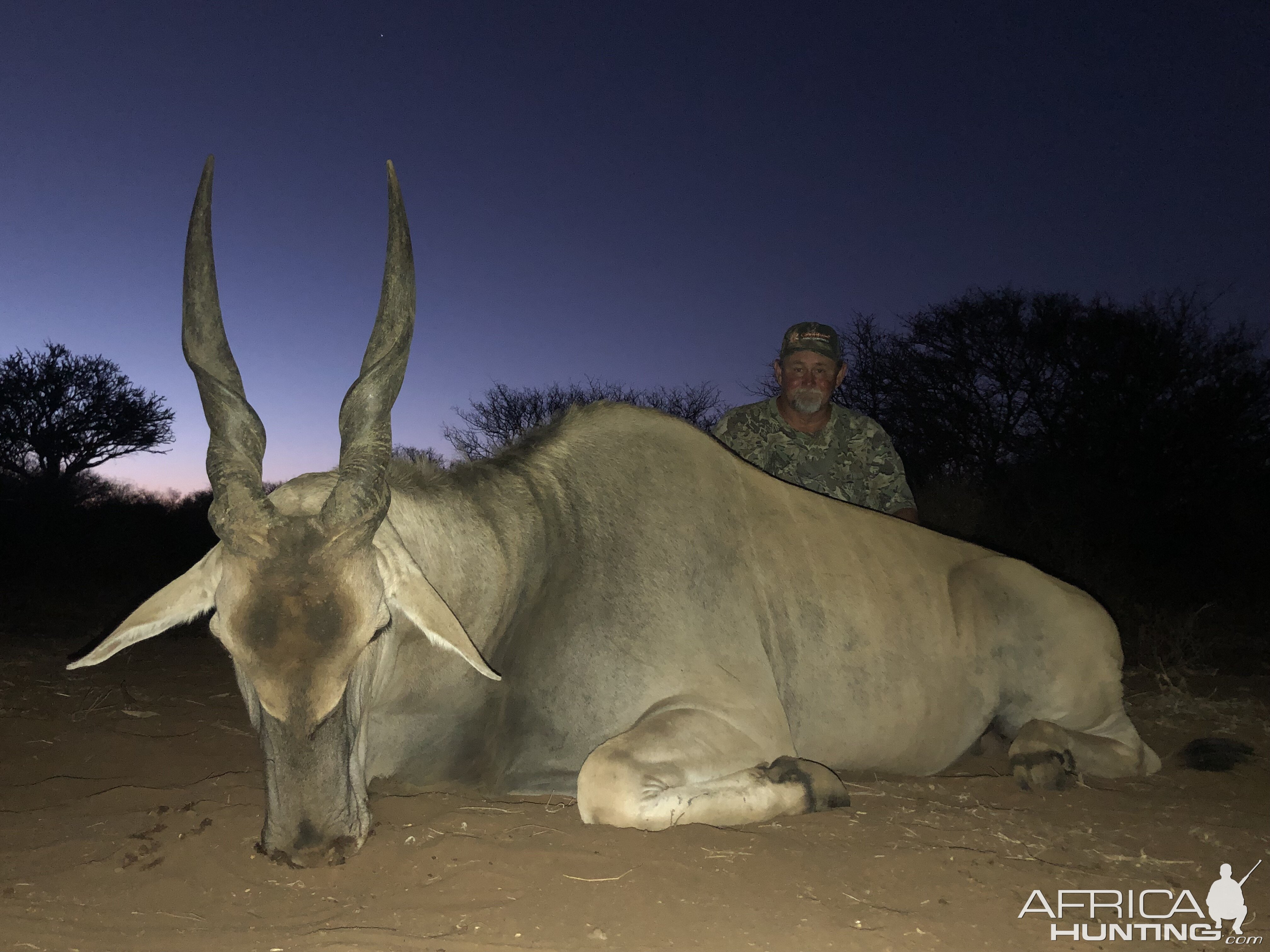 South Africa Hunting Eland