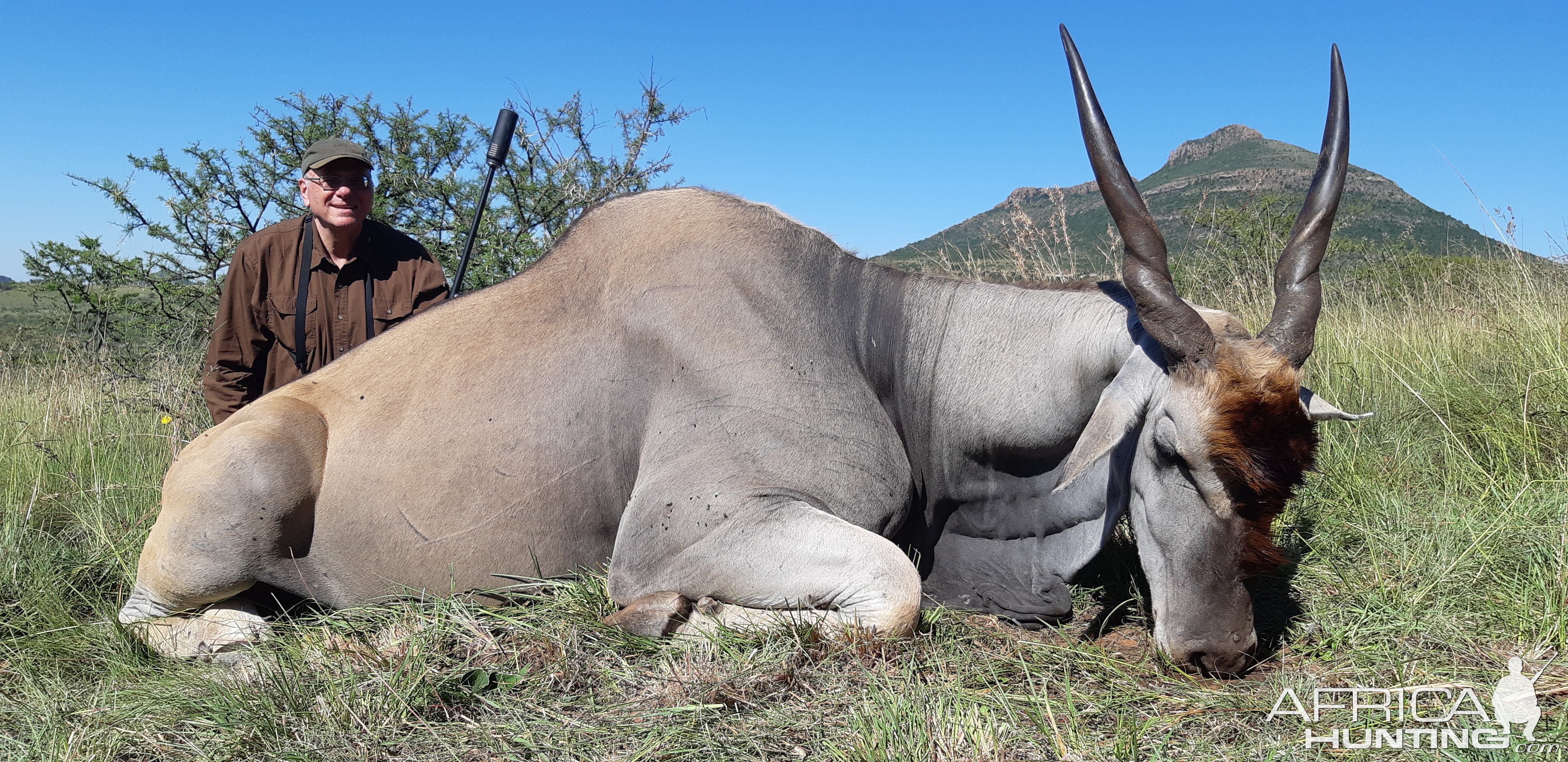 South Africa Hunting Eland