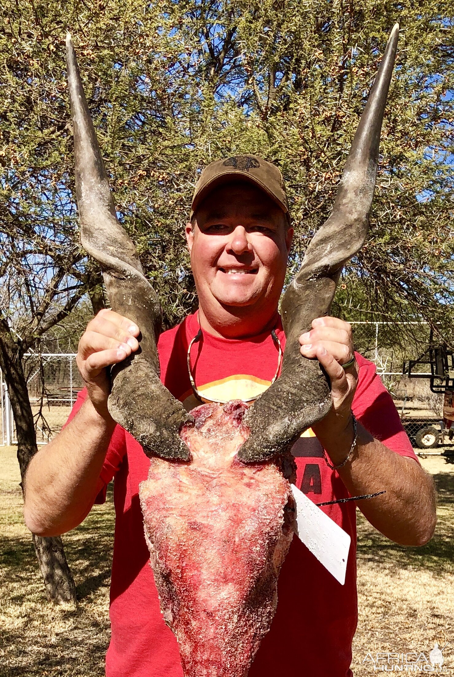 South Africa Hunting Eland