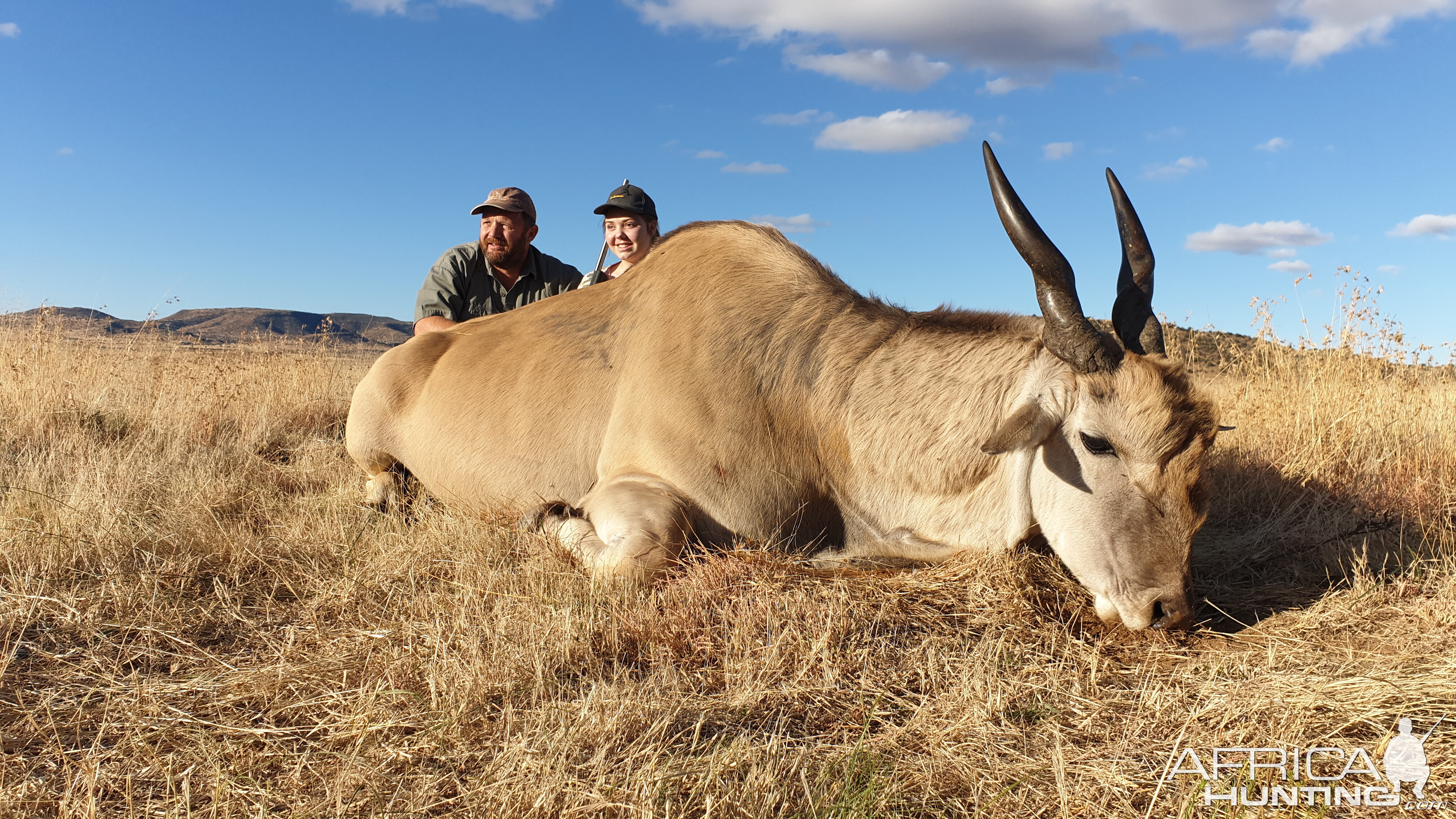 South Africa Hunting Eland