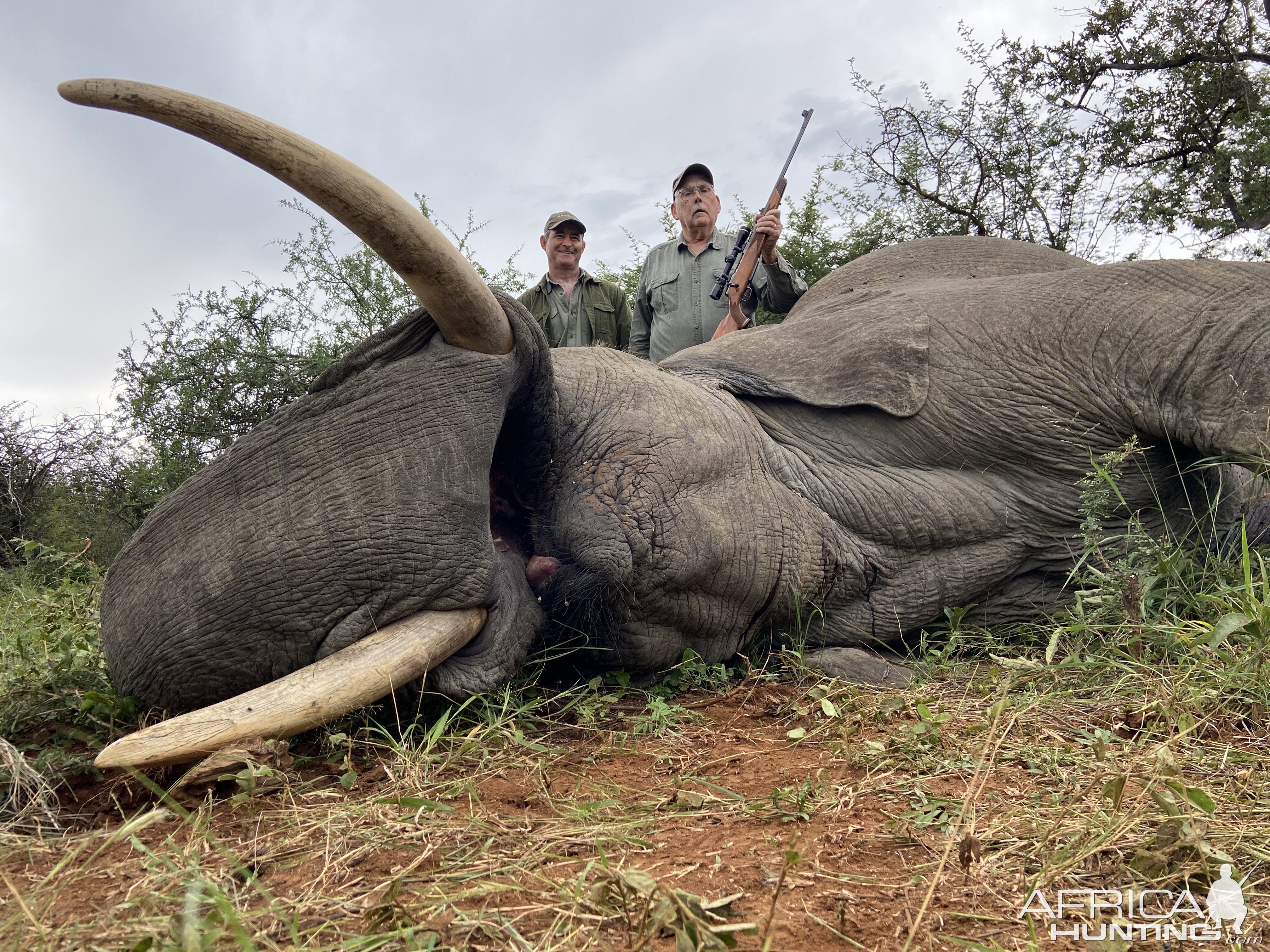 South Africa Hunting Elephant