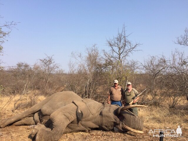 South Africa Hunting Elephant