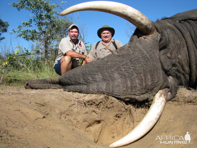 South Africa Hunting Elephant