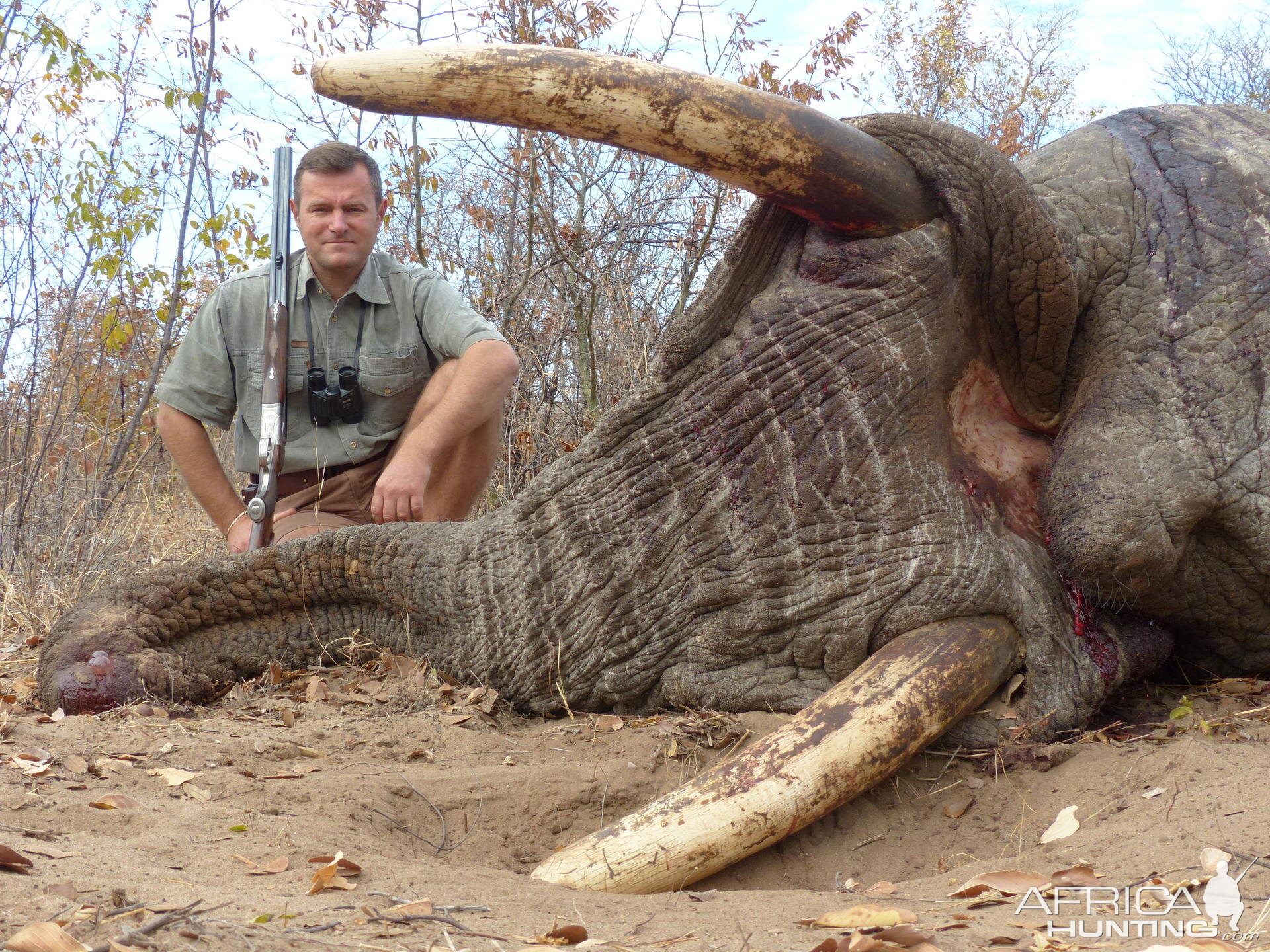 South Africa Hunting Elephant