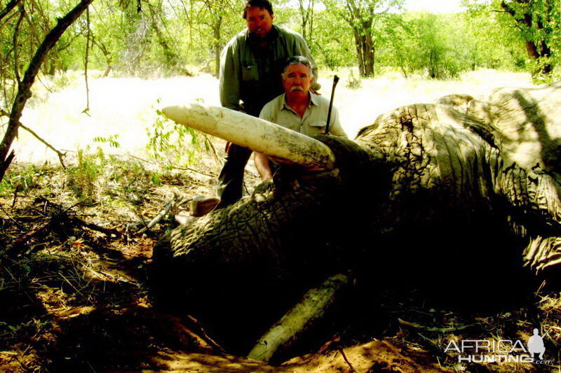 South Africa Hunting Elephant