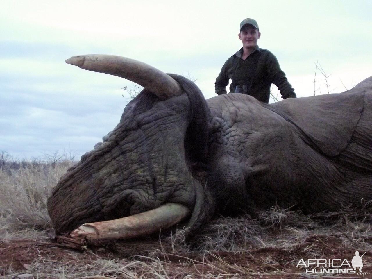 South Africa Hunting Elephant