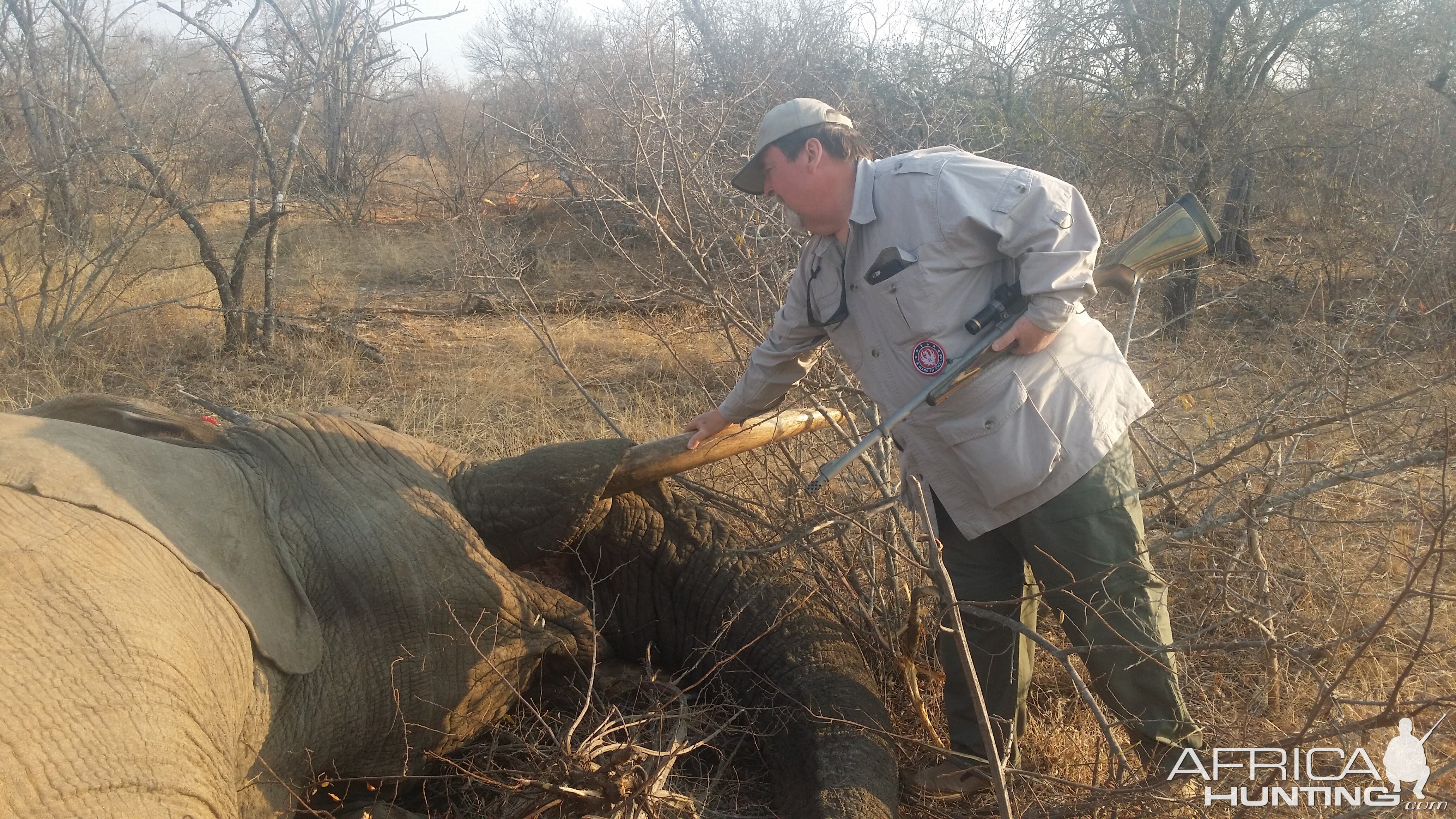 South Africa Hunting Elephant