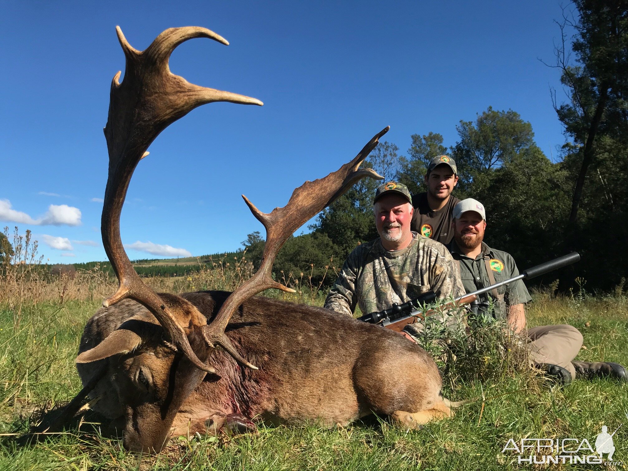 South Africa Hunting Fallow Deer