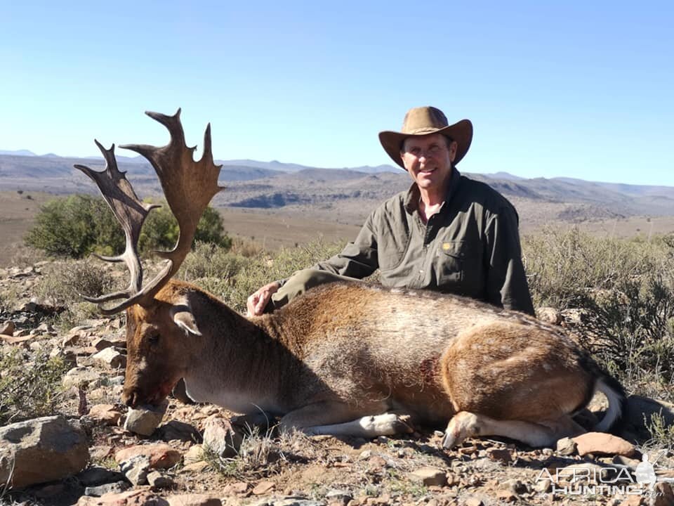 South Africa Hunting Fallow Deer