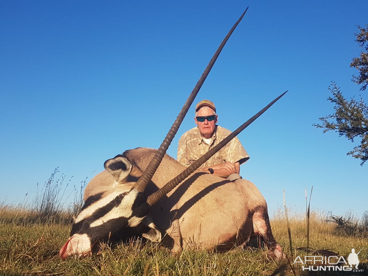 South Africa Hunting Gemsbok