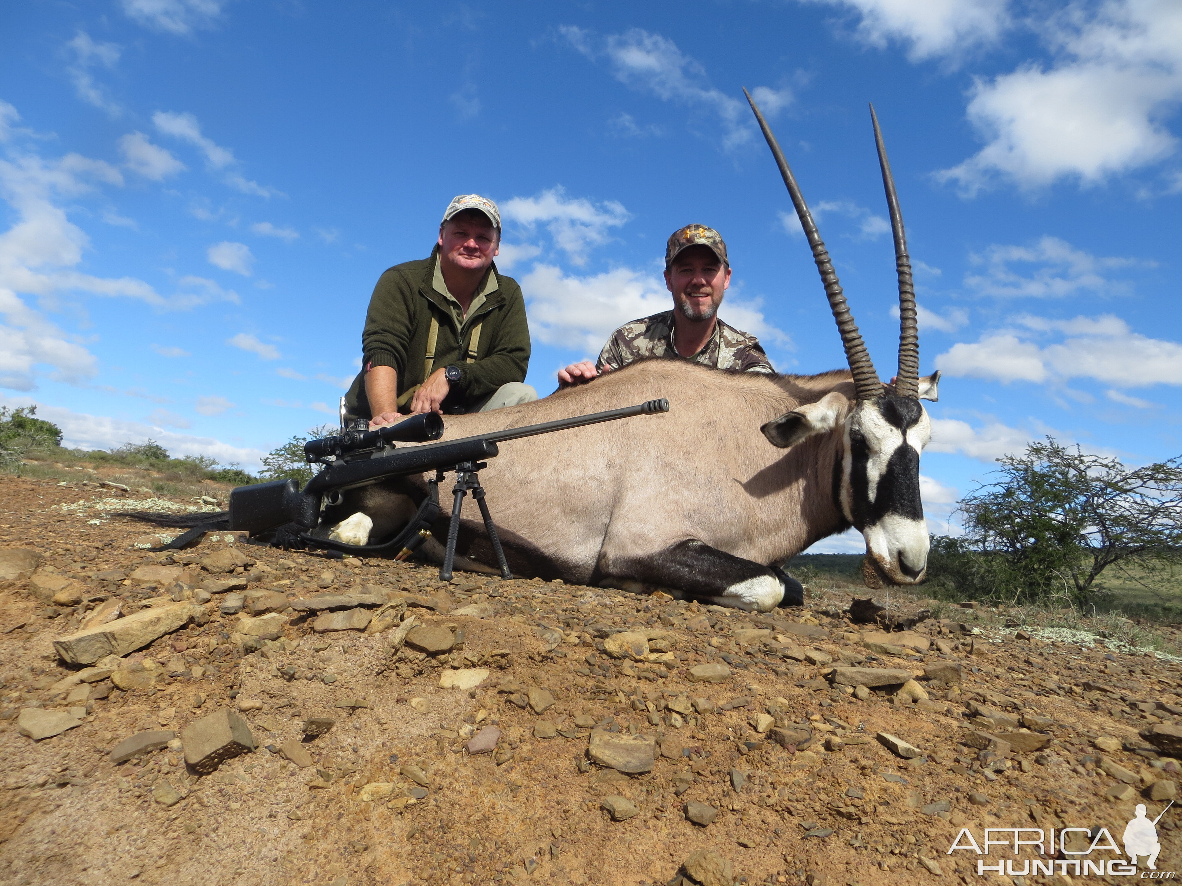 South Africa Hunting Gemsbok