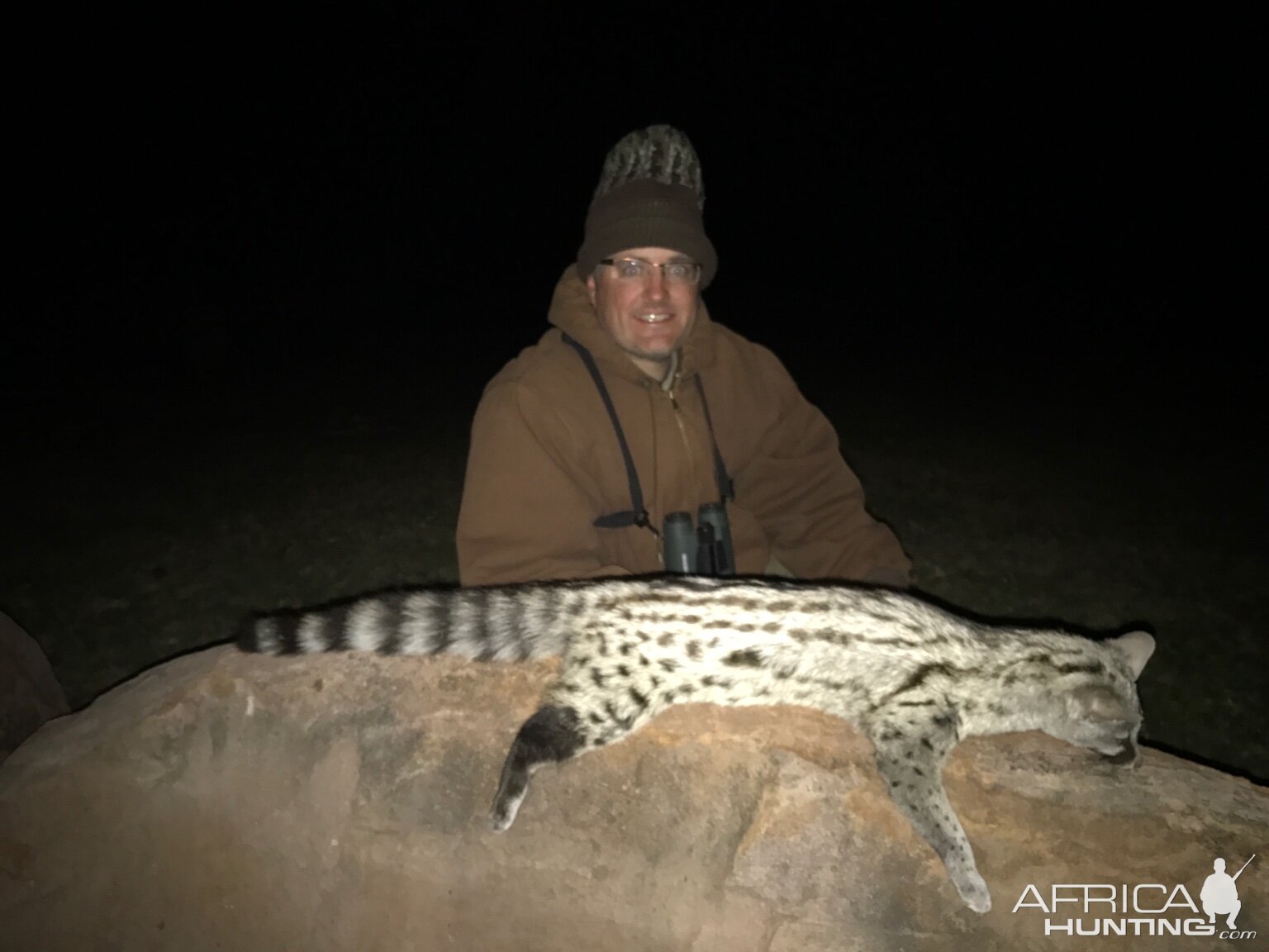 South Africa Hunting Genet Cat