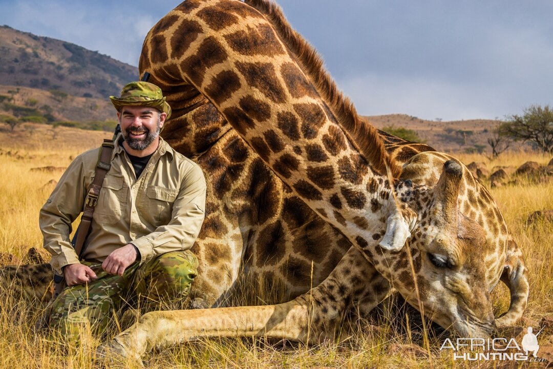 South Africa Hunting Giraffe