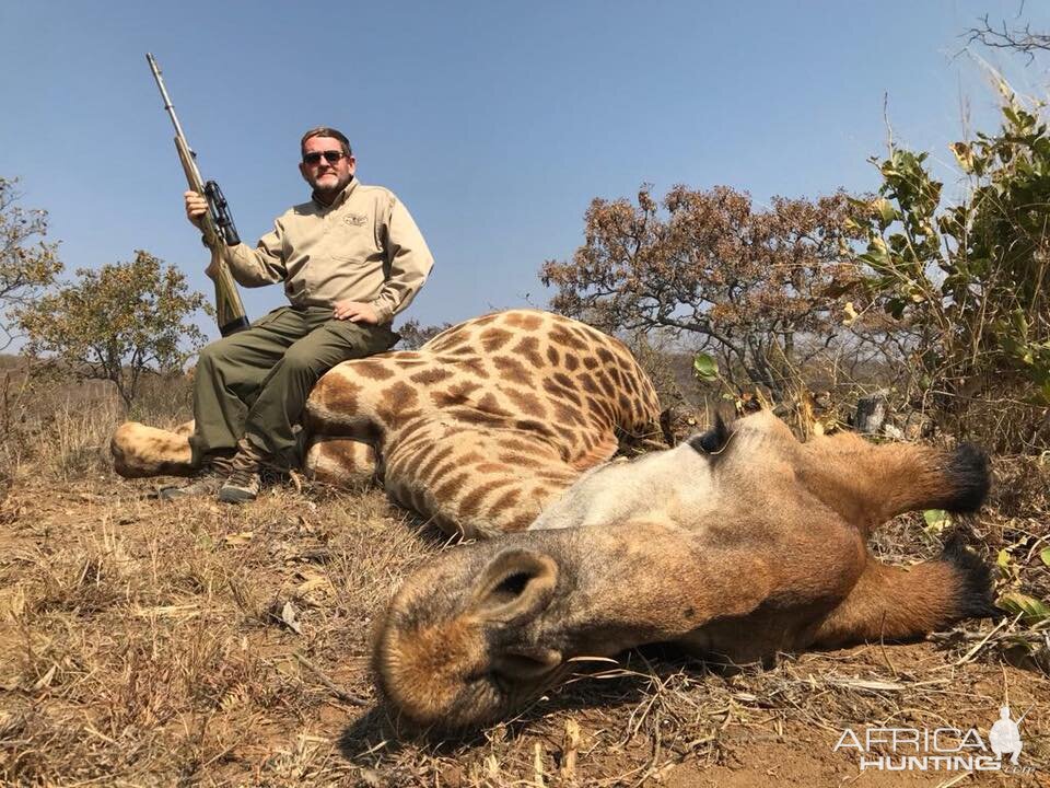 South Africa Hunting Giraffe