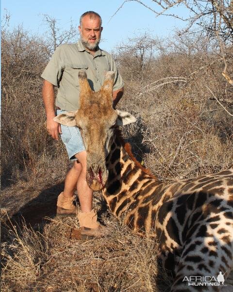 South Africa Hunting Giraffe