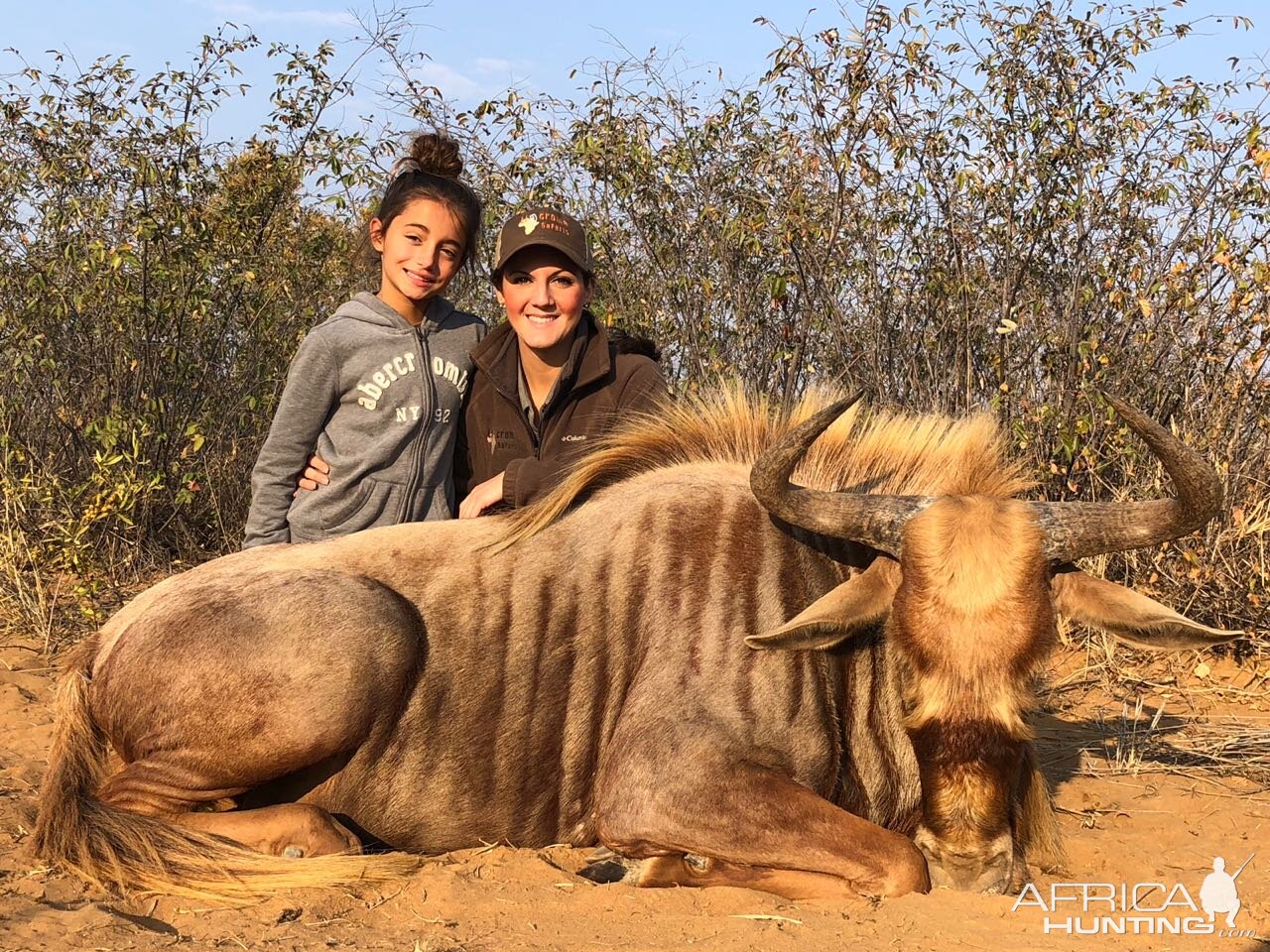 South Africa Hunting Golden Wildebeest