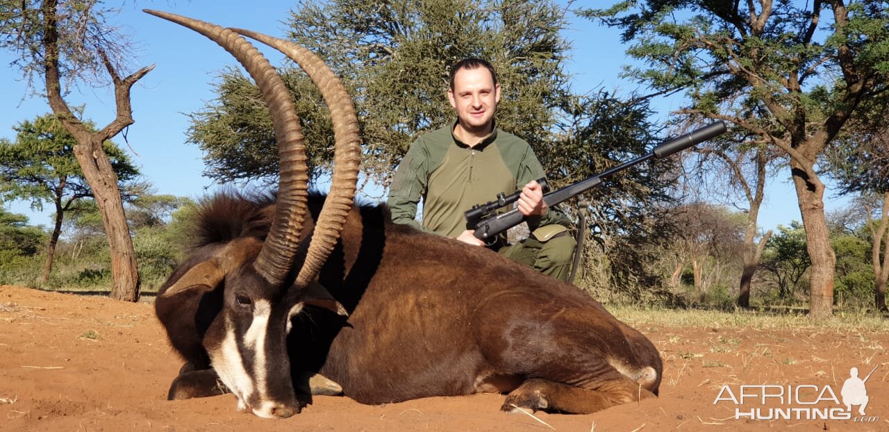 South Africa Hunting Golden Wildebeest