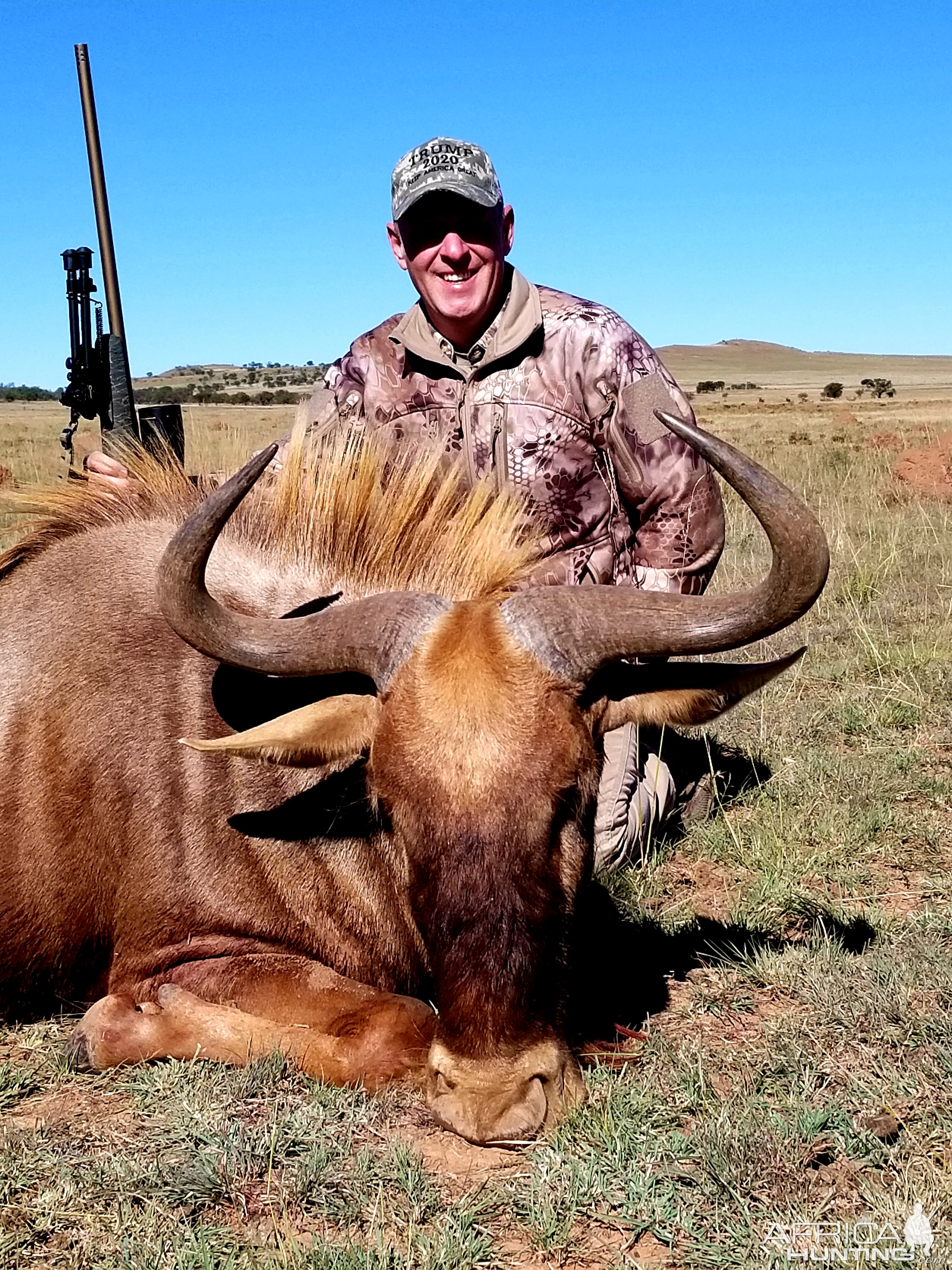 South Africa Hunting Golden Wildebeest