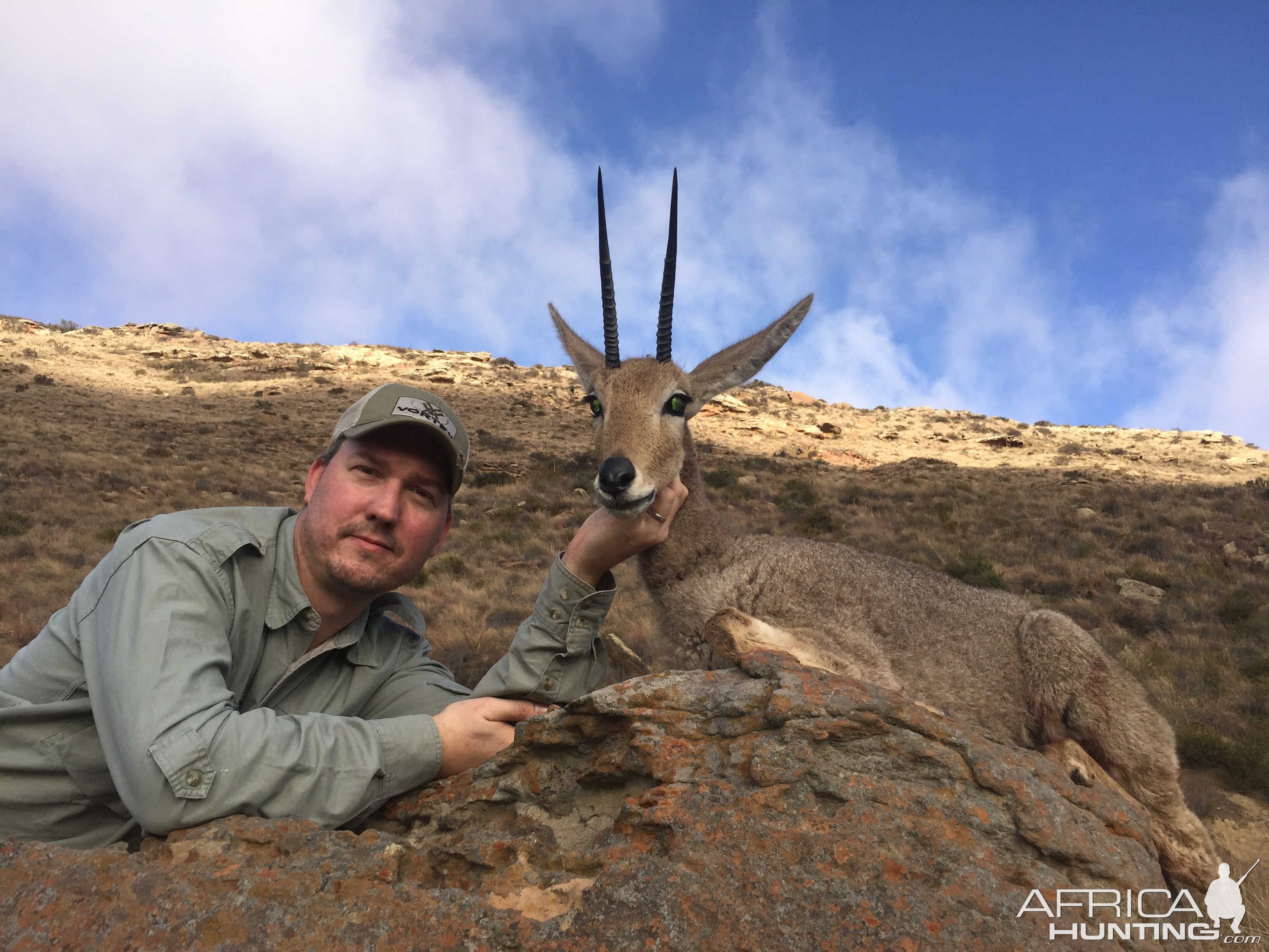 South Africa Hunting Grey Rhebok