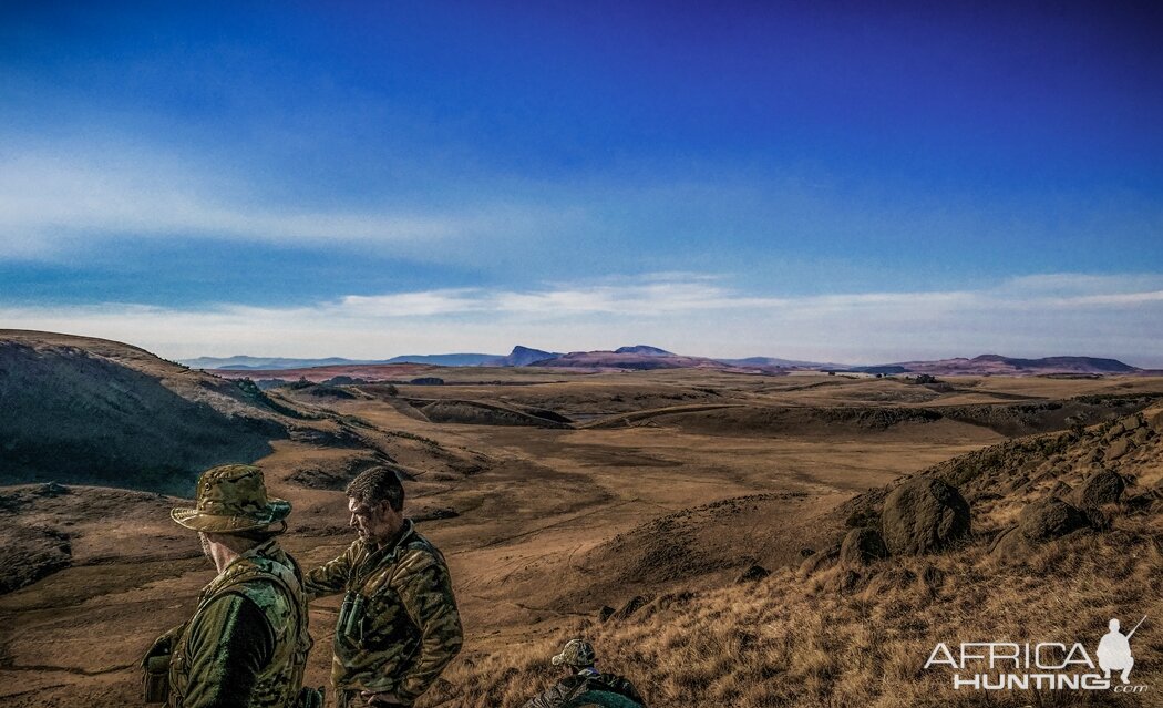 South Africa Hunting Grey Rhebok