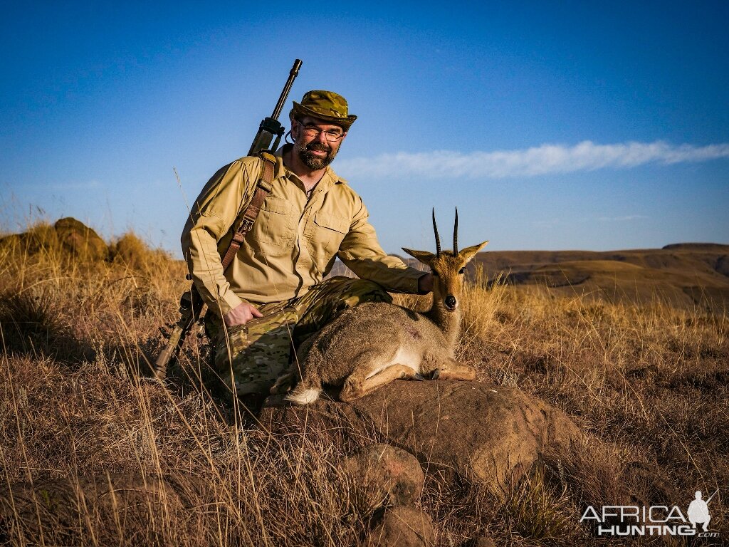 South Africa Hunting Grey Rhebok