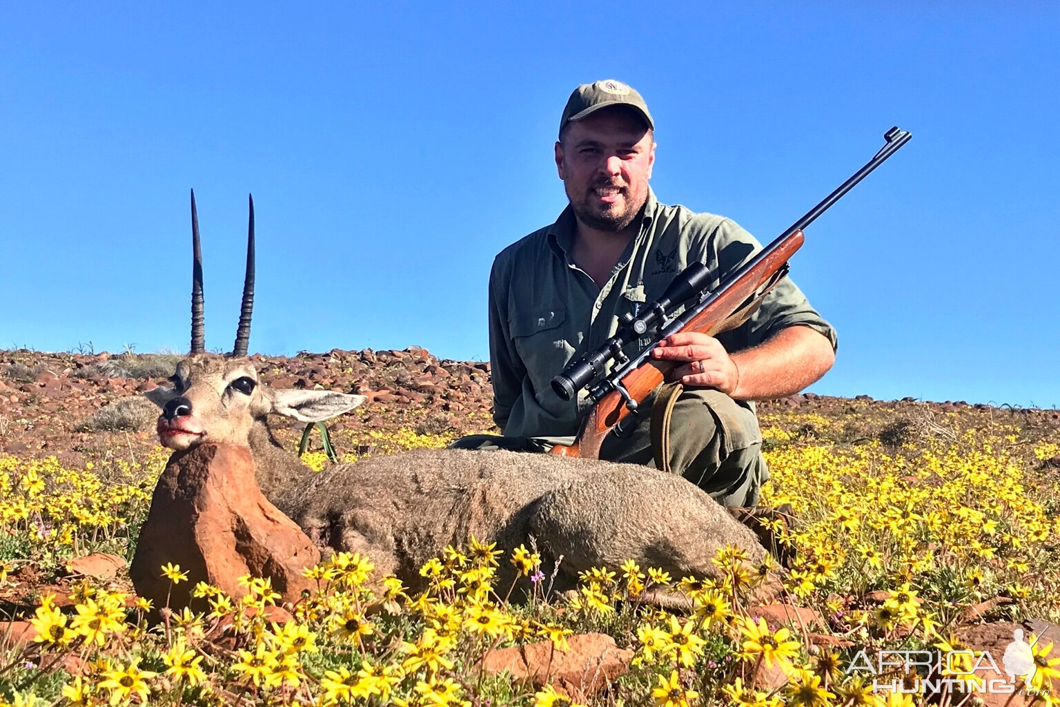 South Africa Hunting Grey Rhebok