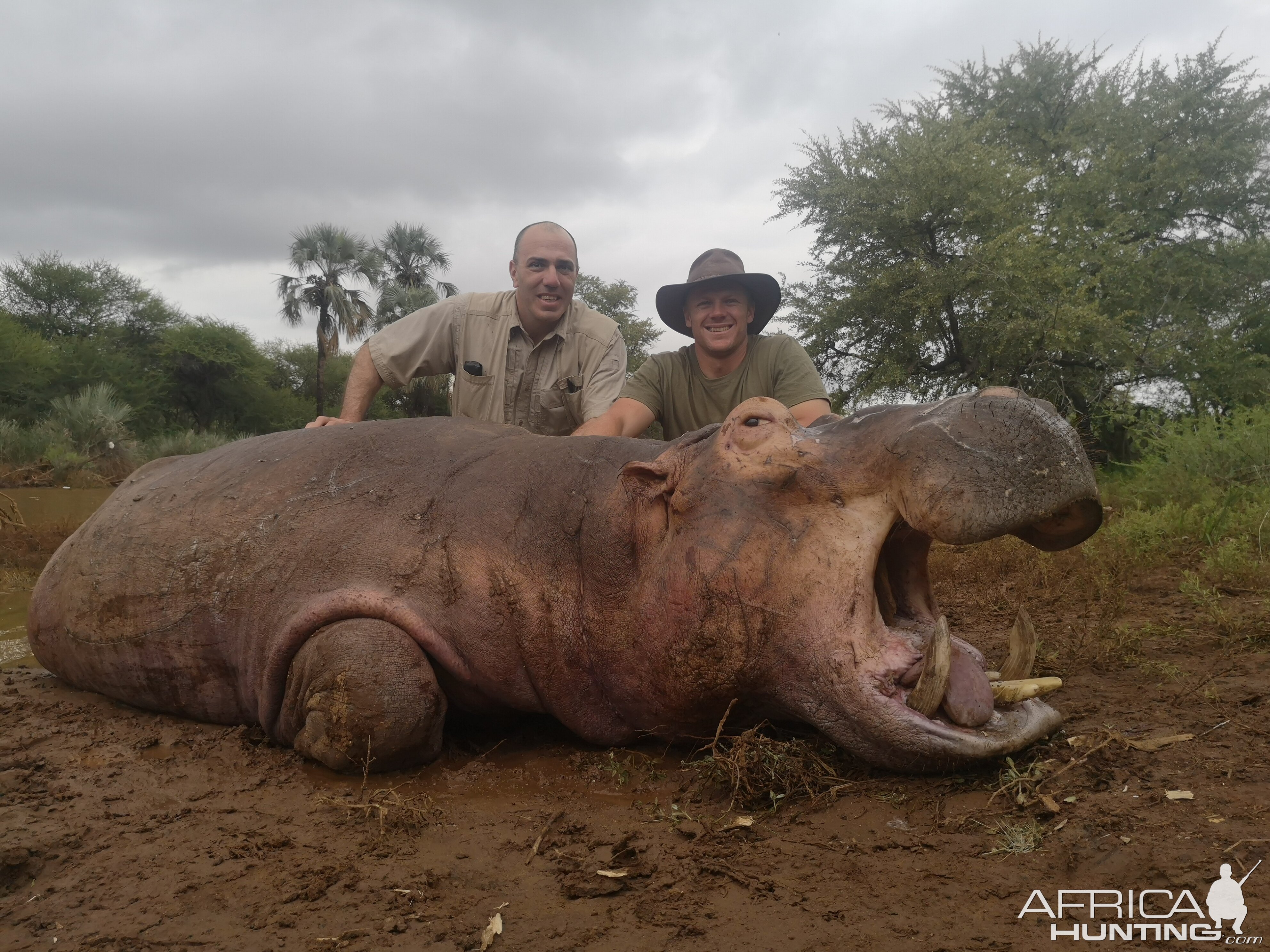 South Africa Hunting Hippo