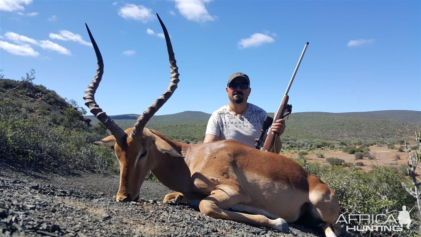 South Africa Hunting Impala