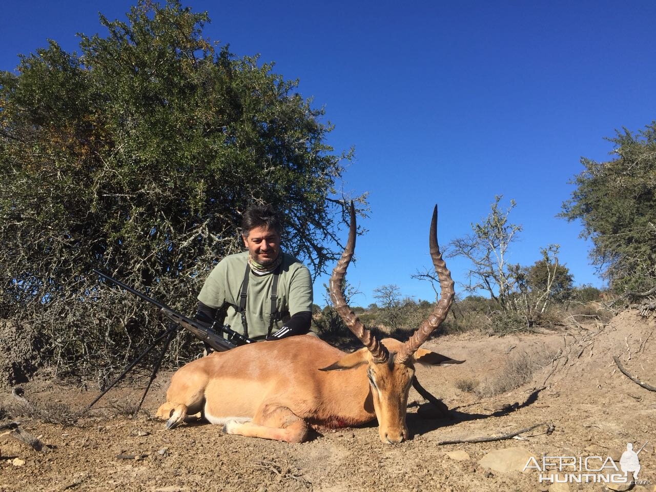 South Africa Hunting Impala