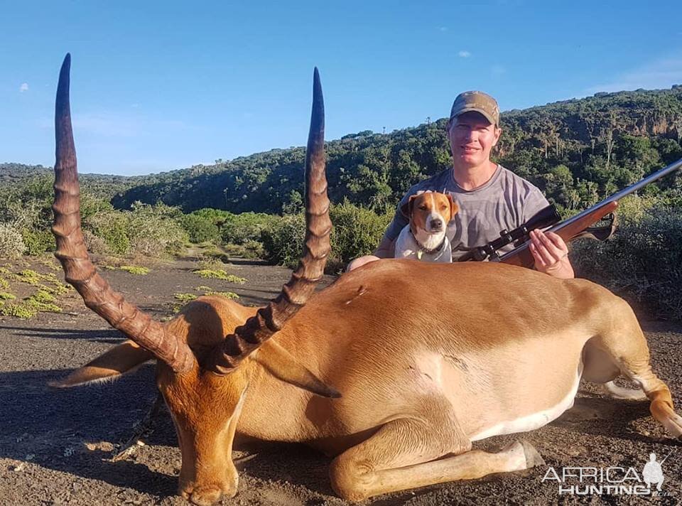 South Africa Hunting Impala