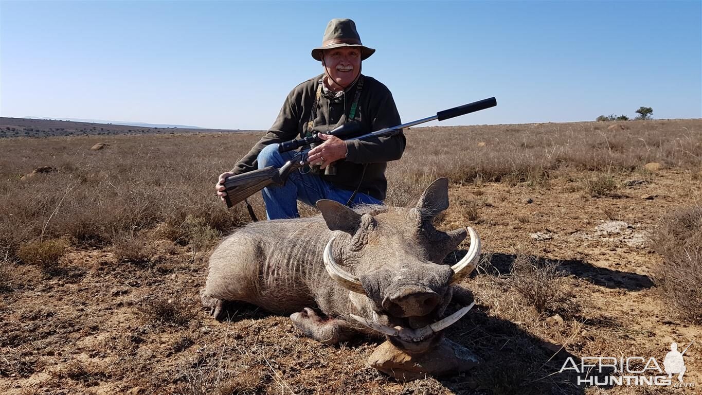 South Africa Hunting in Warthog