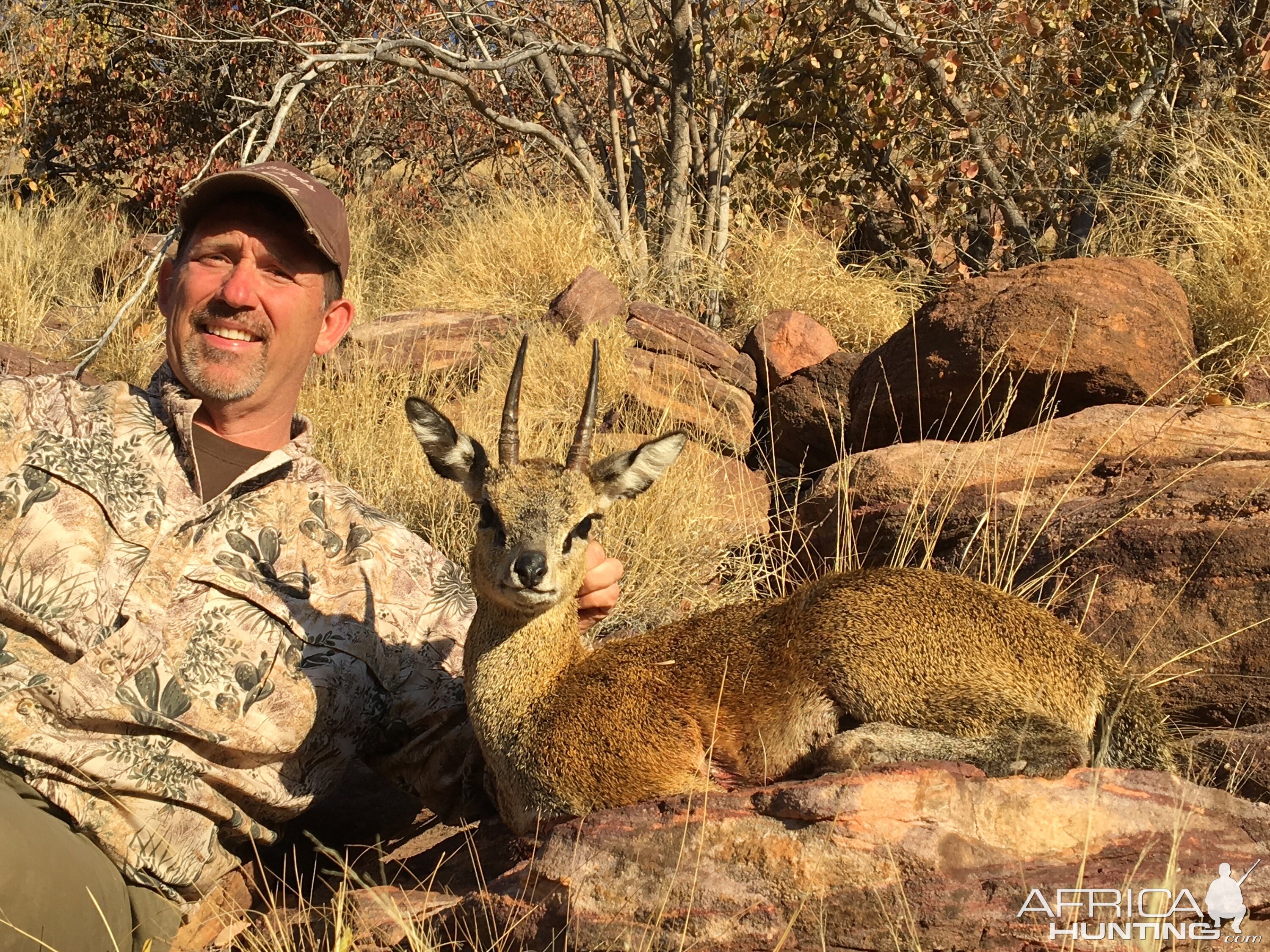 South Africa Hunting Klipspringer