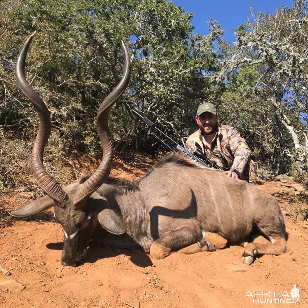 South Africa Hunting Kudu