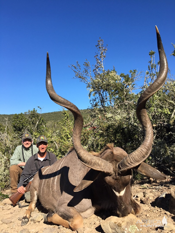 South Africa Hunting Kudu